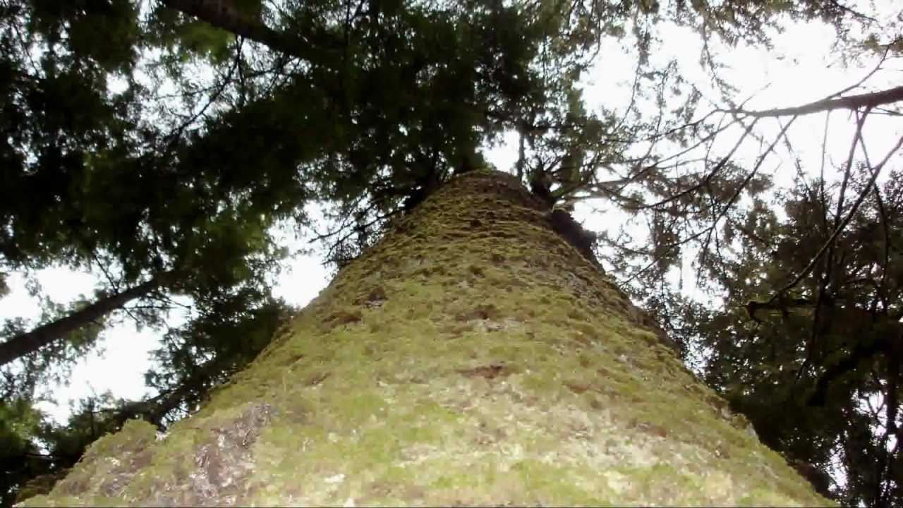 Oblivion (Original) - YouTube