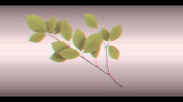 Stereoscopics Explained, in 3D!