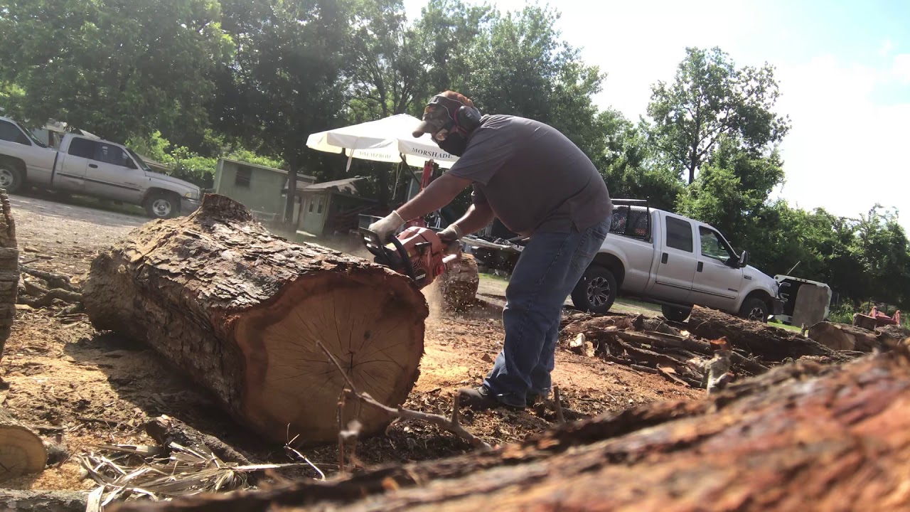 Lumberjack Houston Texas YouTube
