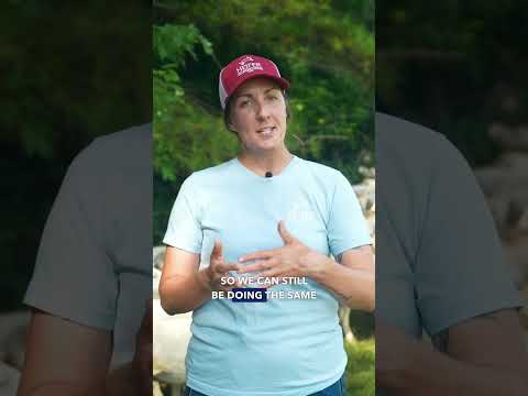 How To Set Up Sheep And Cattle Grazing Together 