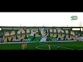 [TIFO] MCA-JSK -  MOULOUDIA, Mon nom ... c'est de l'OR