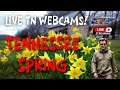 LIVE Webcams in the Smokies! - Explore Tennessee