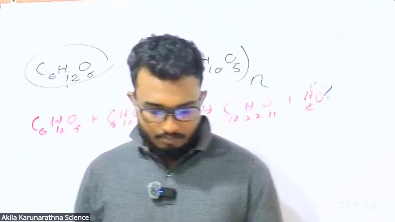 GRADE 11 DAY PAPER 1