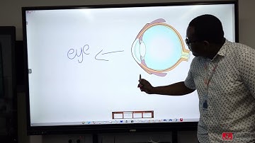 JCVision JCTOUCH | JCHUB | JCBoard | nteractive Screens and Whiteboard Software JCView Demo