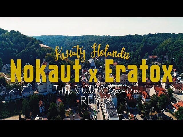 NOKAUT & ERATOX - Kwiaty Holandii Tr!fle & LOOP & Black Due RMX
