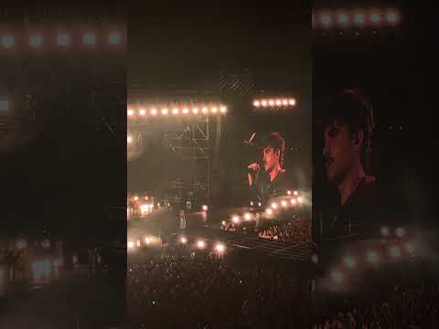 Video Olly Questa domenica live @ Stadio Ferraris Genova