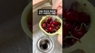손 안대고 과일 씻는법 #살림템 #자취템 #쿠팡추천템 #주방용품추천 #과일바구니