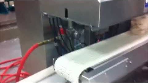 FAS SPrint Revolution™ SidePouch® Bagging System Egg Rolls - Hand Load 4 lb. Potstickers Infeed