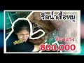 รีดน้ำเชื้อหมู •Susee Girl