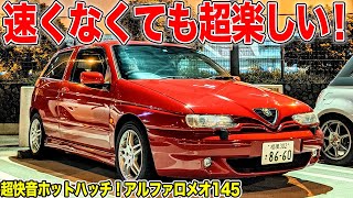 アルファロメオツインスパークメンテナンスファイル : ツインスパークを愉しむ … アルファロメオツインスパークメンテナンスファイル - メルカリ