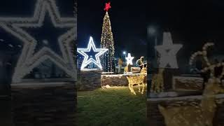 أول شجرة كريسماس فى القاهرة.. زينة عيد الميلاد المجيد تزين الشوارع والأهالى يحتفلون