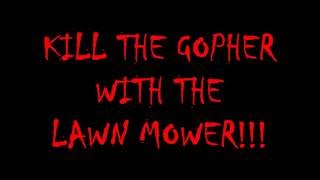 Kill the Gopher with the Lawn Mower