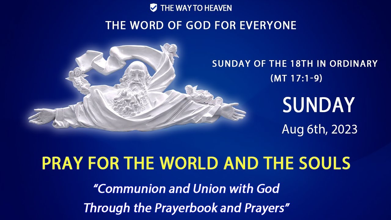 SUNDAY OF THE 18TH WEEK IN ORDINARY TIME (Mt 1719) YouTube