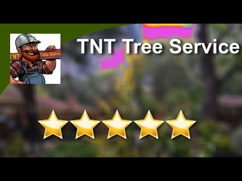 Tnt Tree Removal