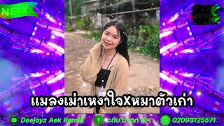 กำลังฮิตในtiktok?(แมลงเม่าเหงาใจ x หมายตัวเก่า ) สายปาร์ตี้?nonstop หลายคนตามหา Deejayz Aek RemiX