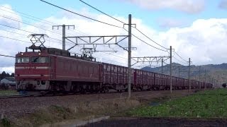 JR貨物 EF81-726 貨物列車 (3092レ 月曜代走) 琵琶湖線 安土－近江八幡
