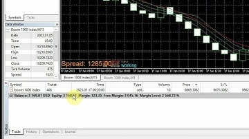 Forex Robot - Velocity Vector V1.0  ($10 to $6000 in 30 days)
