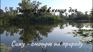 Тихое озеро в конце дня. Пение птиц. #summerlake #белыйшум