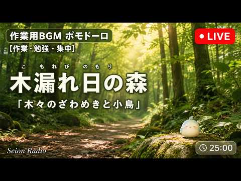 作業用・勉強用BGM】木漏れ日の森ポモドーロ LIVE🔴｜25分集中×5分休憩