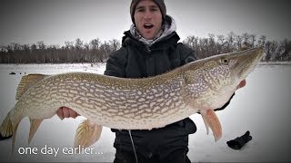 A CHALLENGE ON THE CUT – PIKE fishing on the Staffs/Worcs Canal