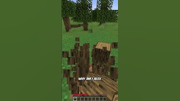 Minecraft, But It