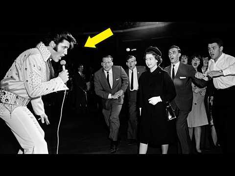 Elvis Stopped the Concert When Queen Elizabeth Appeared — Security Didn’t Expect This