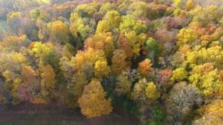 Late Fall Colors with the DJI Phantom 4 Drone