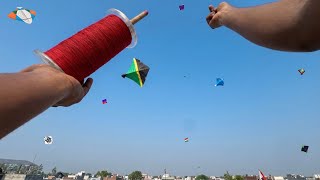 Two Colour Kite Flying Kite Fighting With White Tiger Manjha Kite Cutting Kite
