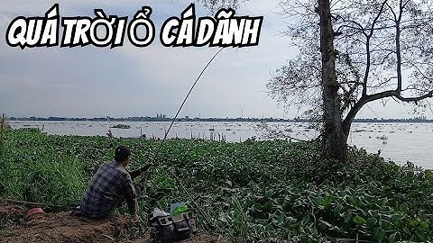 Hơi Kì Kì Bài Mồi Hơi Bị Lỡ Tay Tí Không Ngờ Lại Trúng Lớn Bầy Cái Dãnh Thả Mồi Rỉa Rỉa Là Lụm