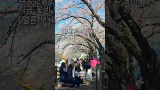 버킹검모텔 영상