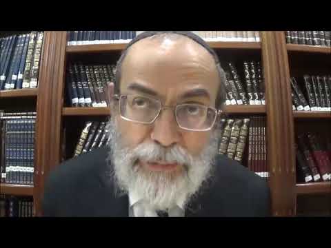 Bekhorot 33a - Youtube