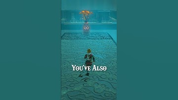 Things EVERY Zelda Player Has Done! |Botw|