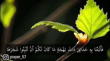 أَإِلَهٌ مَعَ اللَّه - الآية 61/60 من  سورة النمل - الشيخ سعد الغامدي