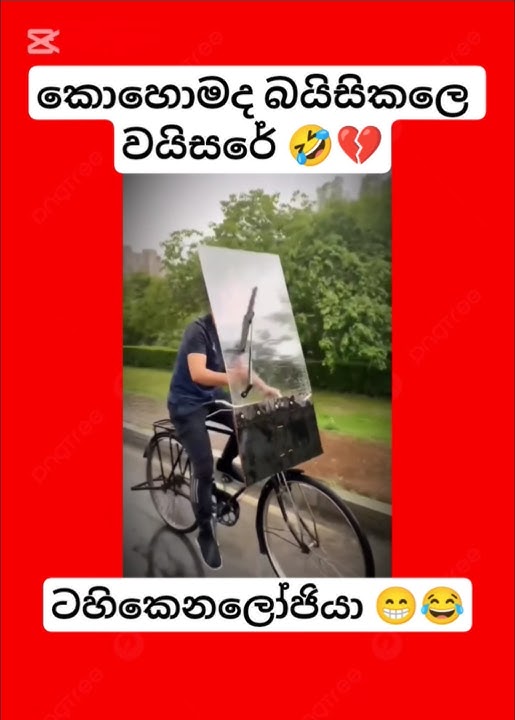 මෙවුවා අටපට්ටමට යවන්න ඔනී විඩියෝ🤣💔#korean#foryou#dance#danceteacher#slmemereview#virel#100kviews