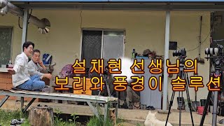 설채현 선생님의 보리와 풍경이 싸움에 대한 솔루션