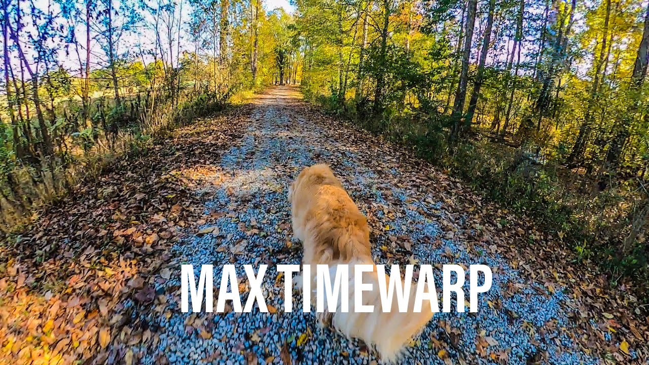 max timewarp