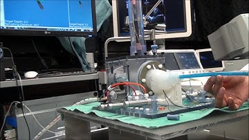 TAVI simulation video