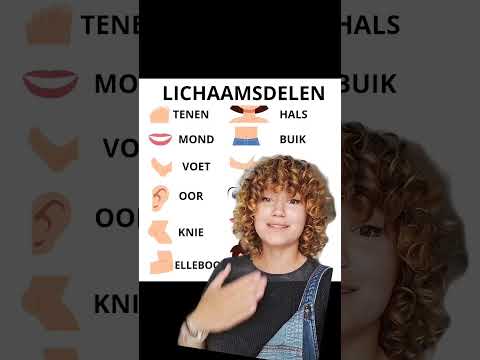Learn DUTCH vocabulary