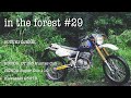 嵐を飛ぶ単車！！ジュベル？ジェベル？ジョベル？ CT125 ハンターカブ　スーパーカブ１１０　カワサキ２５０TR 　cinematic motovlog/in the forest#29