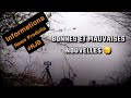 Carpe au coup hivernal (long format)