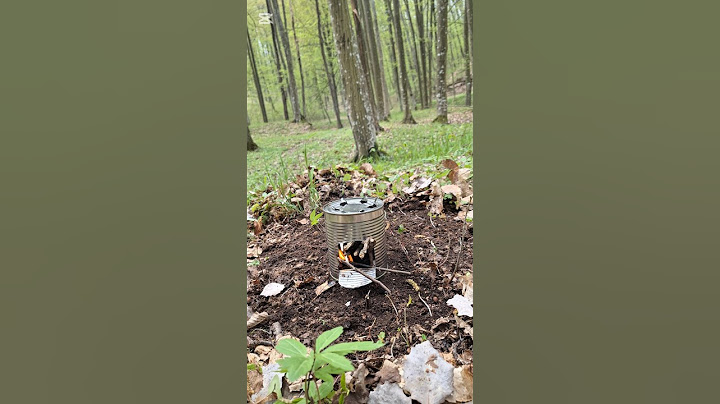 Survival Skill ! How to make  a diy stove în 5 minutes in extreme conditions! #survival #bushcraft