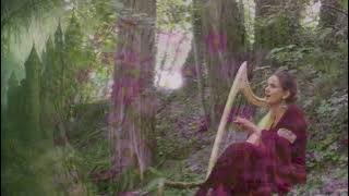 Wilekumen si der sumer schoene - Harfe und Gesang