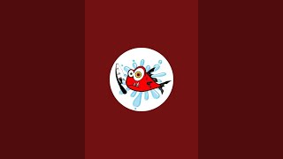 CURIMBALOKO está ao vivo!