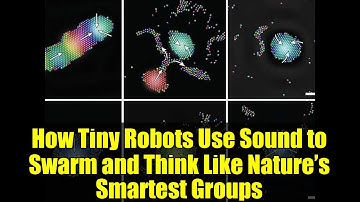 How Tiny Robots Use Sound to Swarm and Think Like Nature’s Smartest Groups