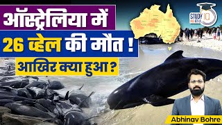 Whale Stranding - 130 Pilot Whale Trapped In Western Coast of Australia| UPSC CSE| StudyIQ IAS Hindi