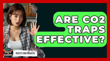 Are CO2 Traps Effective? - Insects and Invaders