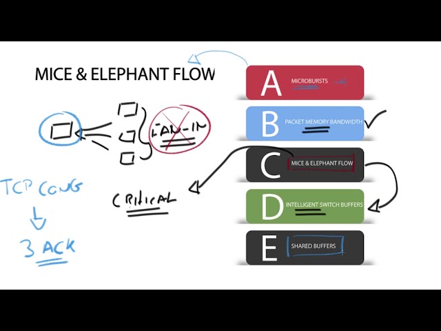 Tech Brief Video Series - Enterprise Networking | Mice & Elephant Flows