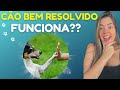 Cão Bem Resolvido funciona? Vale a pena? 2 AULAS GRÁTIS. Curso Bernardo Adestra é bom? Reclame Aqui