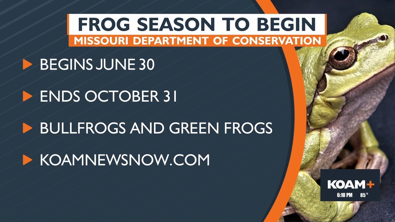 Frog season to begin