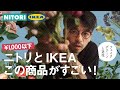 【1000円以下】ニトリvsIKEAフェイクグリーンと造花を徹底比較！本物の観葉植物のようなクオリティのインテリアアイテム